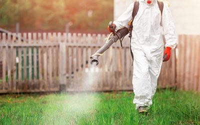 Come effettuiamo la disinfestazione zanzare. Preparati a vivere a pieno il giardino d’estate!