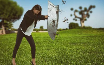 Come eliminare le zanzare dal giardino